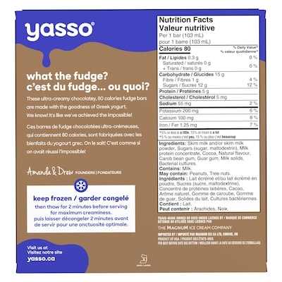 Fudge au Chocolat Barres de Yogourt Grec Glacé