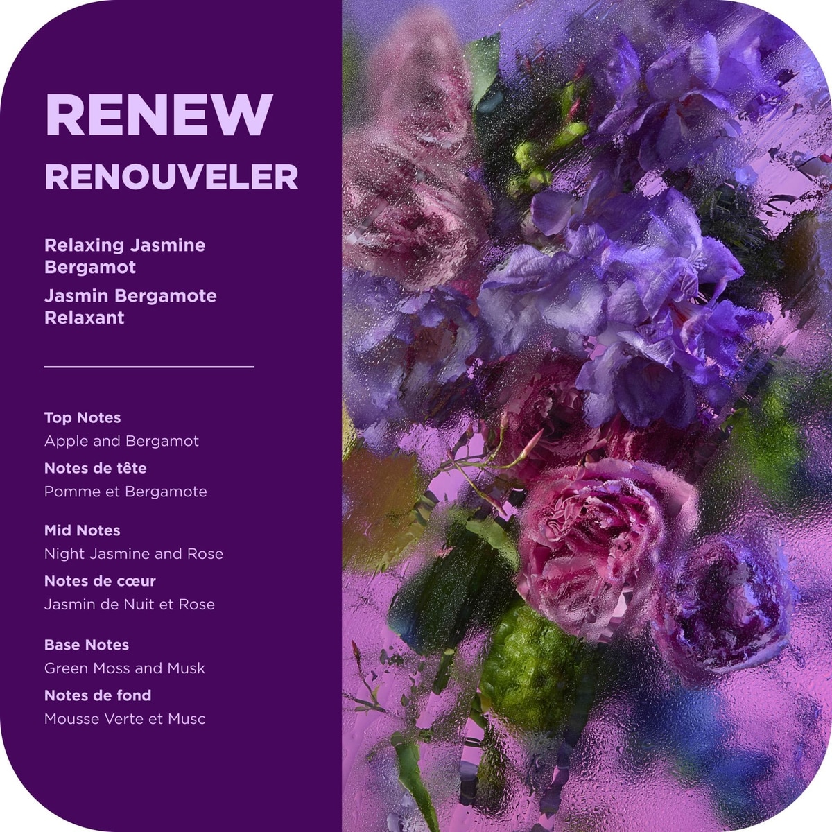 OLLY Renew Body Wash with Vitamin Complex, Jasmine Bergamot