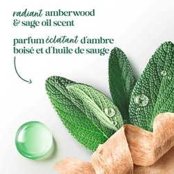 Limited Edition FIFA Body Wash Amberwood & Sage Oil, 591ml 4