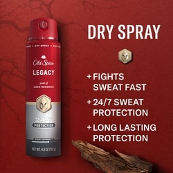 Red Collection Body Spray for Men, Legacy Scent, Refreshing Fragrance, All-Day Odor Protection, Long-Lasting Freshness 2