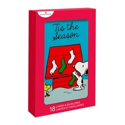 18ct Snoopy House Cards 1
