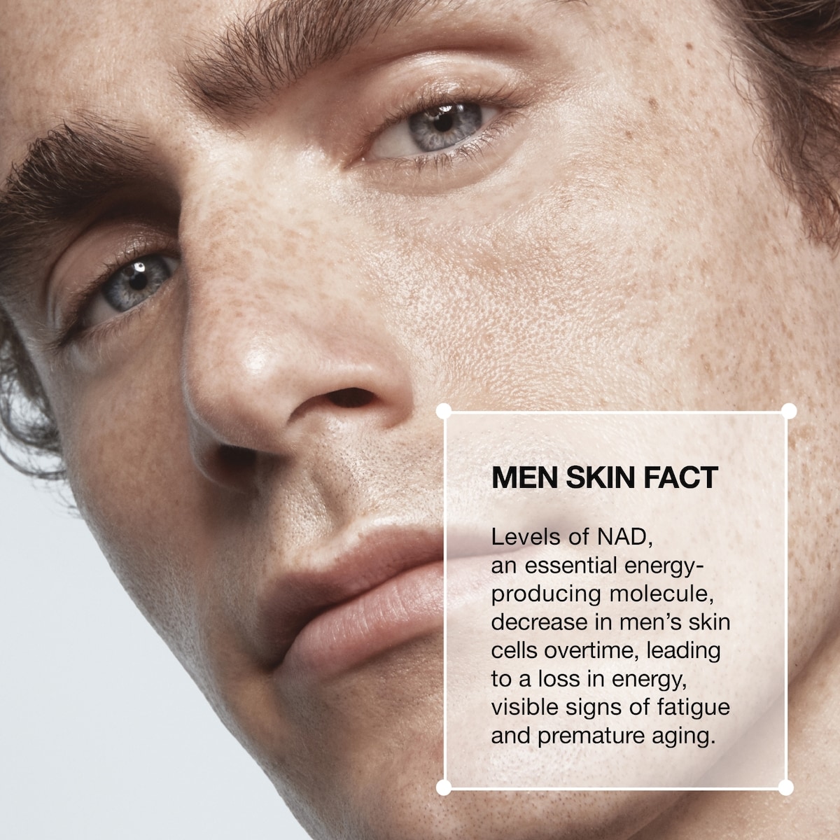 Anti-Age Max LS Cream