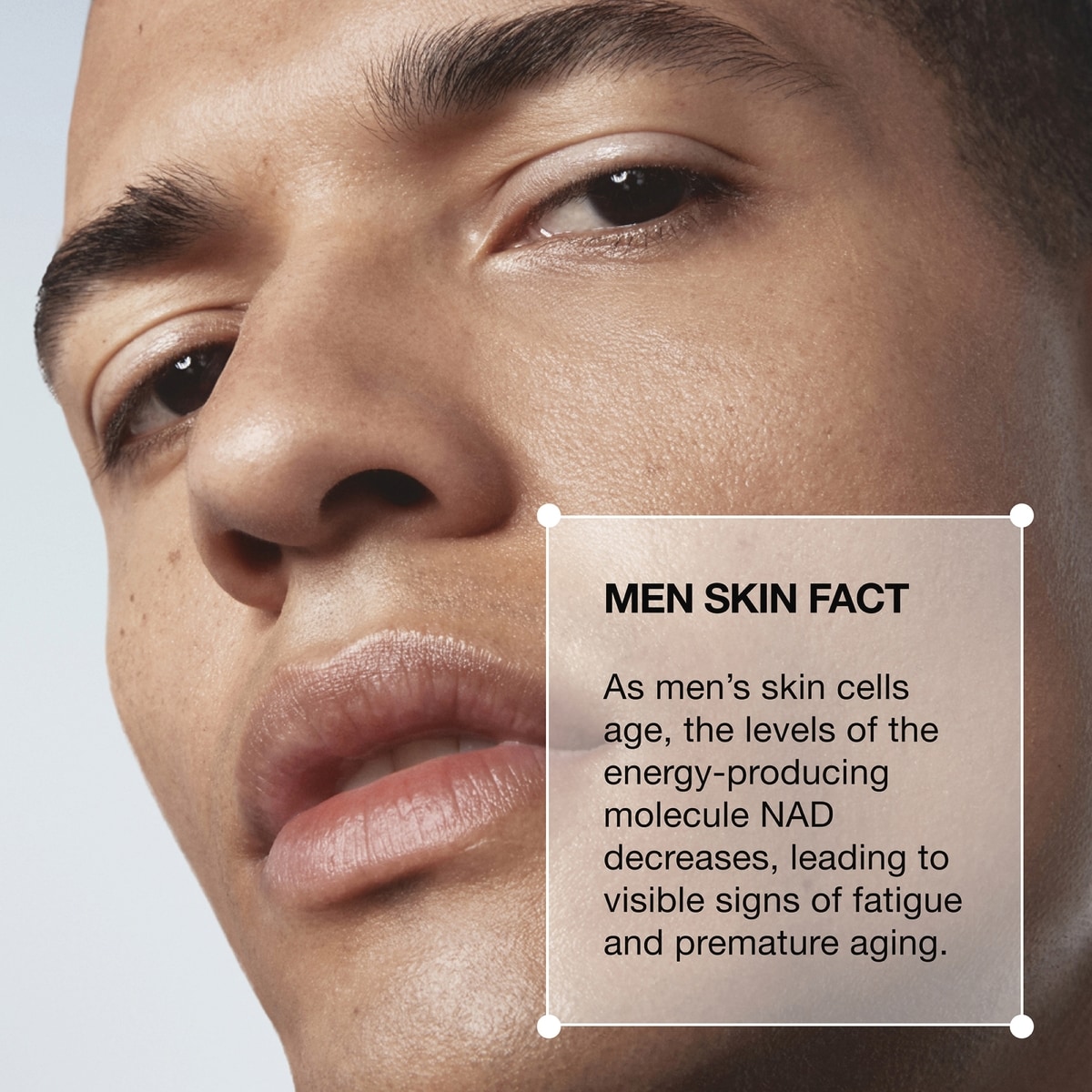 Daily Rescue Life of the Party