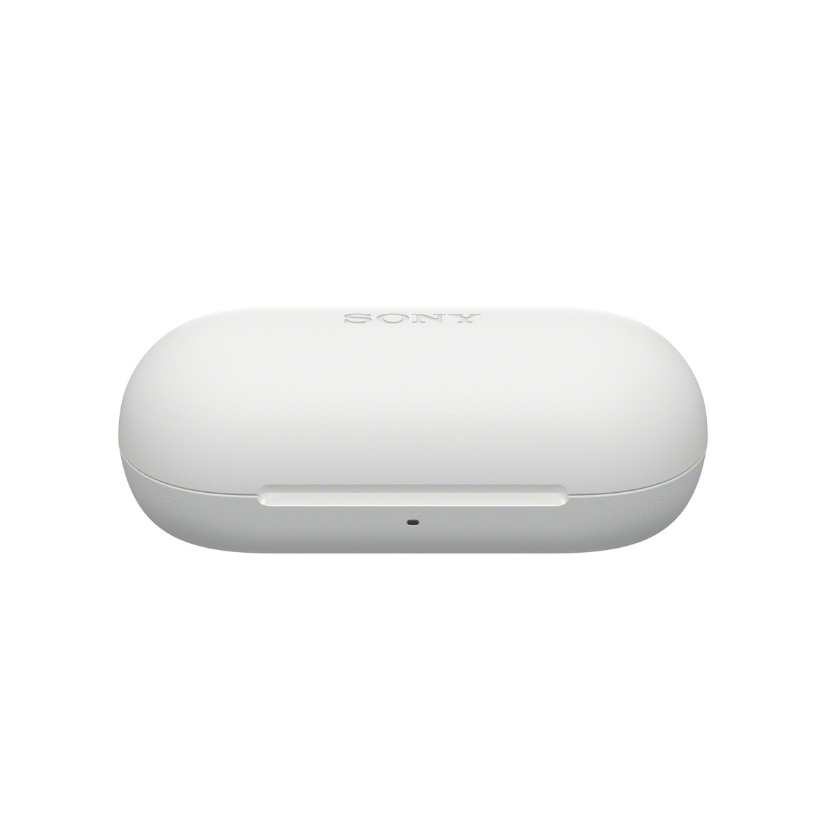 Wfc700n True Wireless Headphone