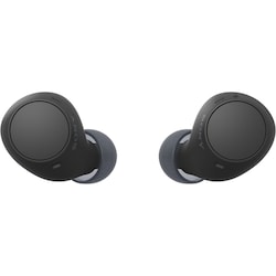 WF-C510 Truly Wireless Earbuds 1