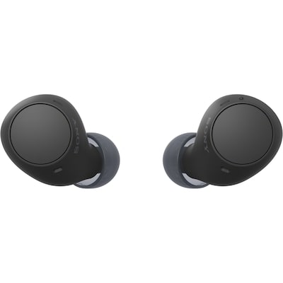 WF-C510 Truly Wireless Earbuds