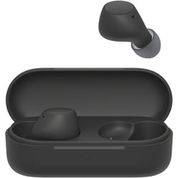 WF-C510 Truly Wireless Earbuds 3