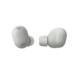 WF-1000XM6  Platinum Silver 5