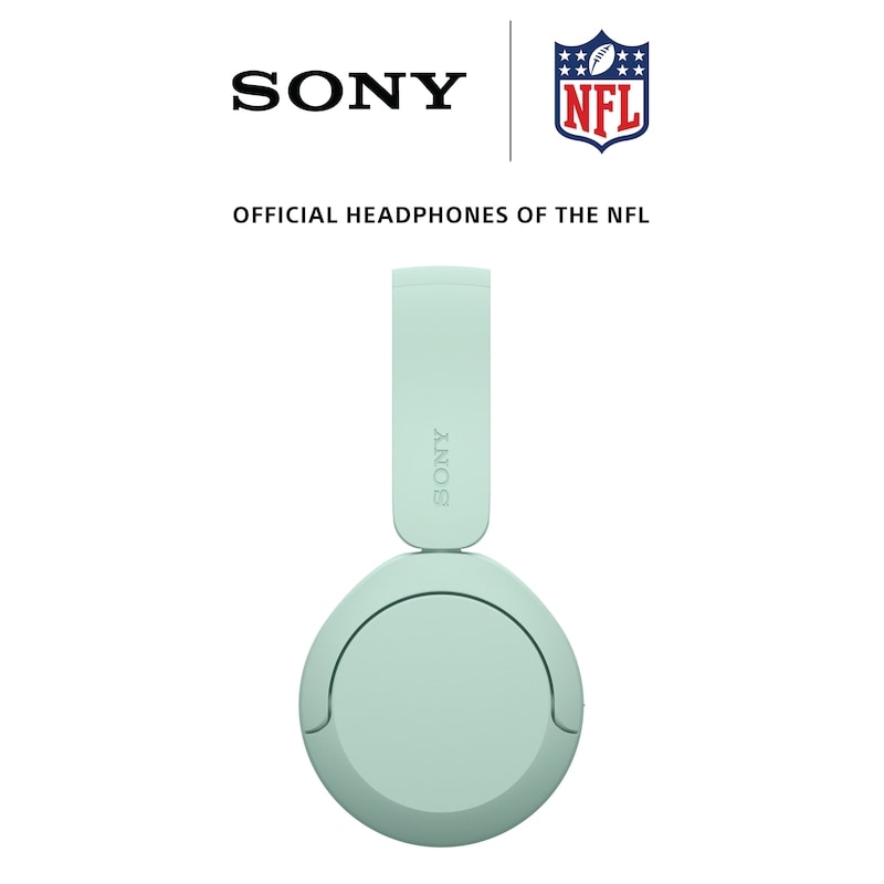 WHCH530/G (Mint) - Wireless Headphones