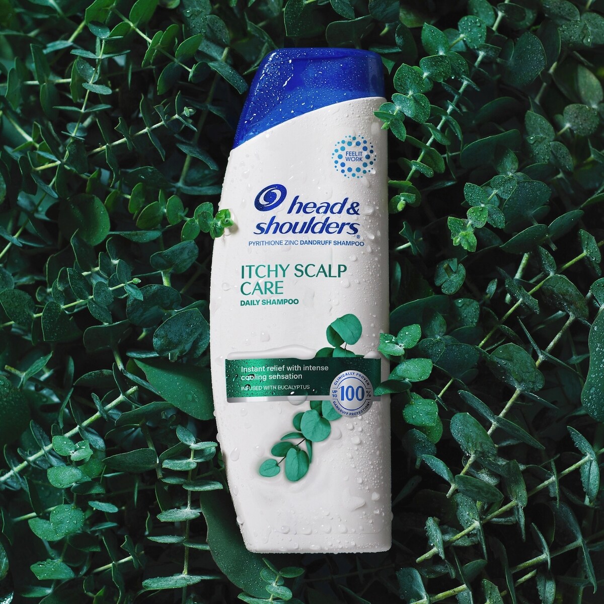 Shampooing pour cuir chevelu qui démange Head & Shoulders