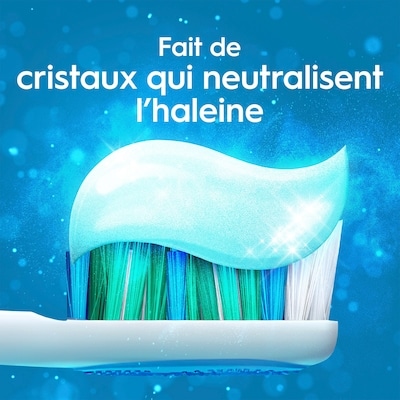 Dentifrice haleine propre Menthe poivrée 100 mL : neutralise la mauvaise haleine, protège contre les bactéries, combat la carie, rafraîchit l’haleine, blanchit en douceur 4
