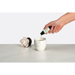 Lotus Leaf Waterless Aroma Diffuser 3