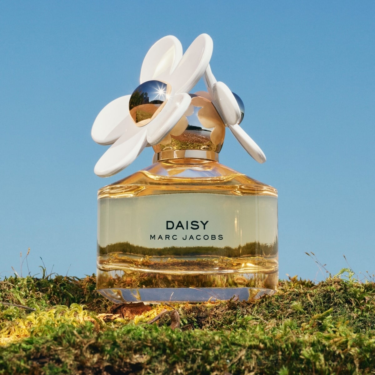 Marc Jacobs Daisy Eau de Toilette for Women | Shoppers Drug Mart
