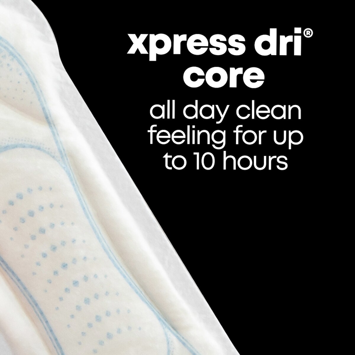 Clean & Secure Maxi Pads