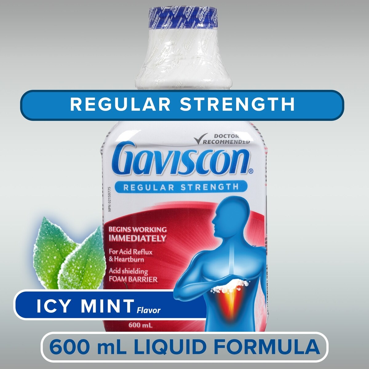 Gaviscon Regular Strength Liquid Soothing Icy Mint