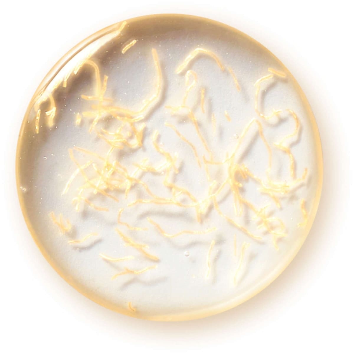 24-Karat Gold Collagen Serum