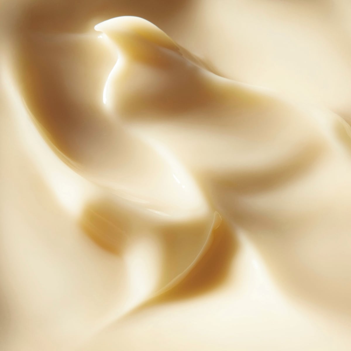 Ensemble De Démarrage Benefiance