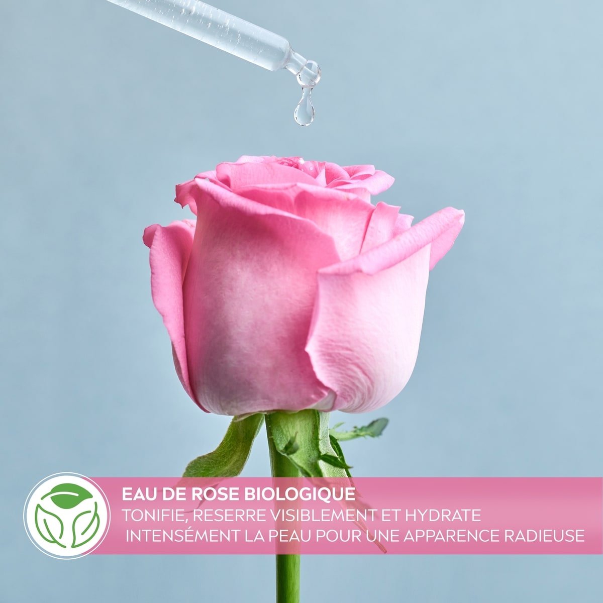 Rose Care ™  Toner