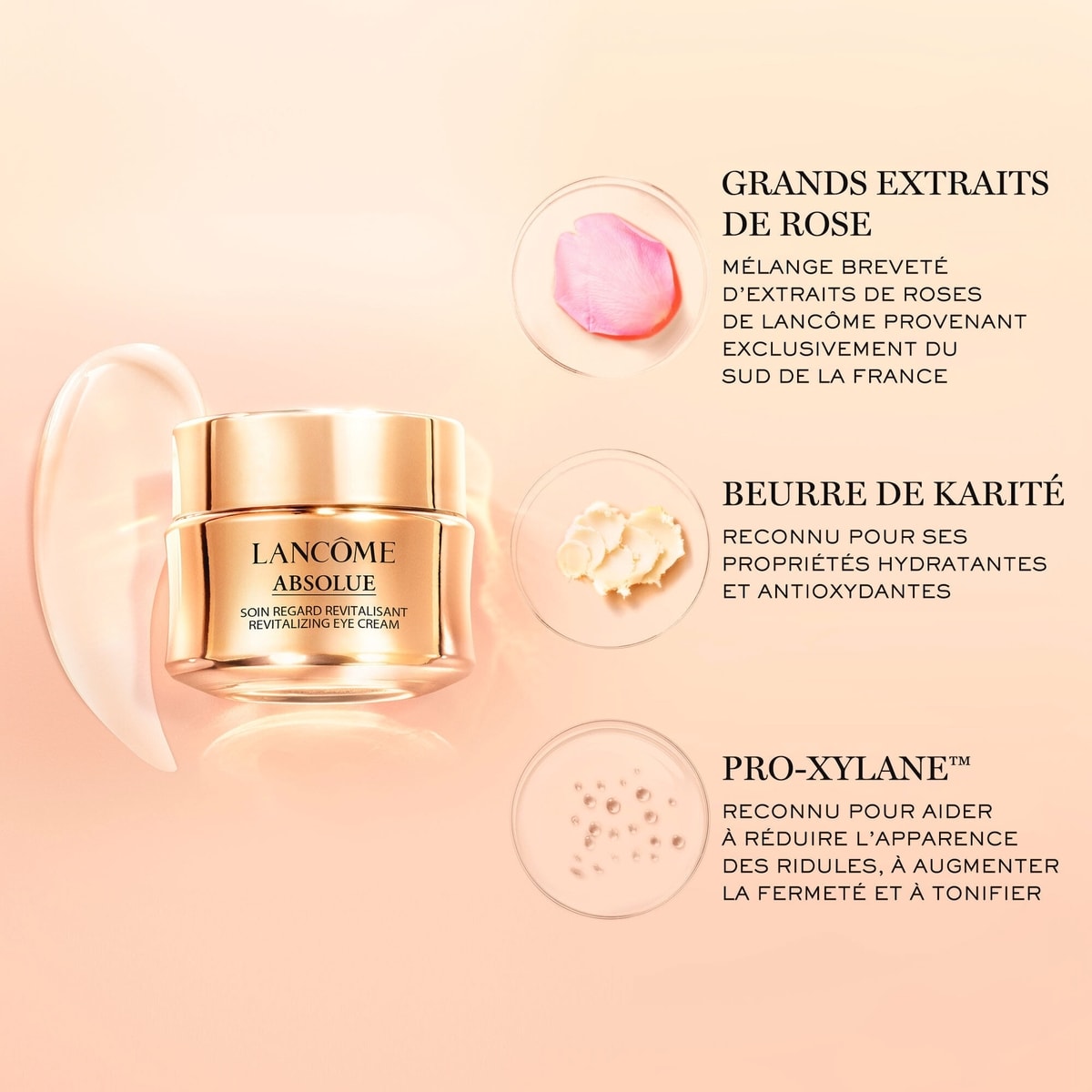 Coffret de favoris Absolue miniatures