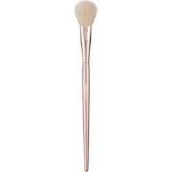 Back to Basics Brush Set 5