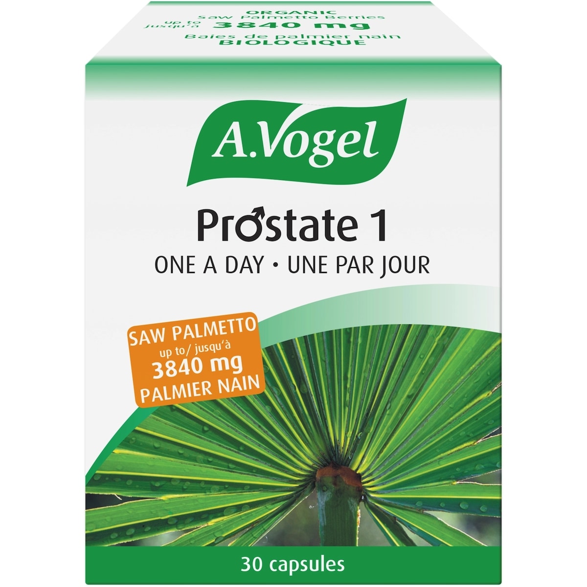 Prostate 1 Palmier nain pour la santé de la prostate - 1 par jour