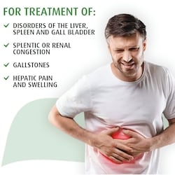 Milk Thistle - Liver Pain and Liver Disorders 4