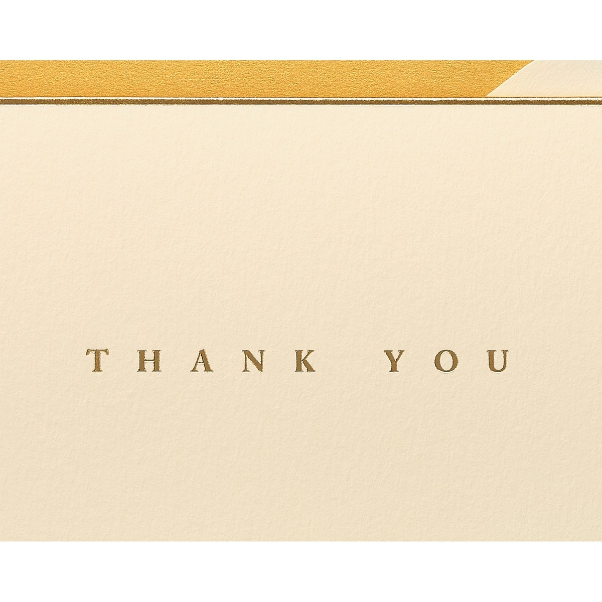 Papyrus Thank You Cards with Envelopes, Gold Border