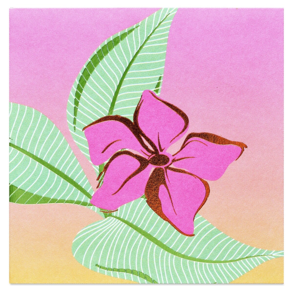 Papyrus Blank Pop-Up Card for Birthdays, Thinking of You and All Occasions  (Tropical)