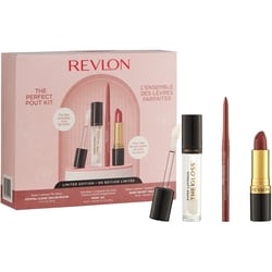 The Perfect Pout Kit 1