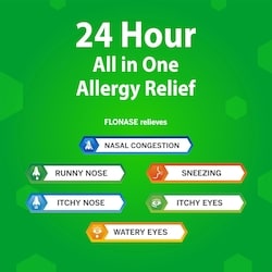 Allergy Nasal Spray, 24-Hour All-In-One Allergy Relief, Non-Drowsy, 60 Sprays 4