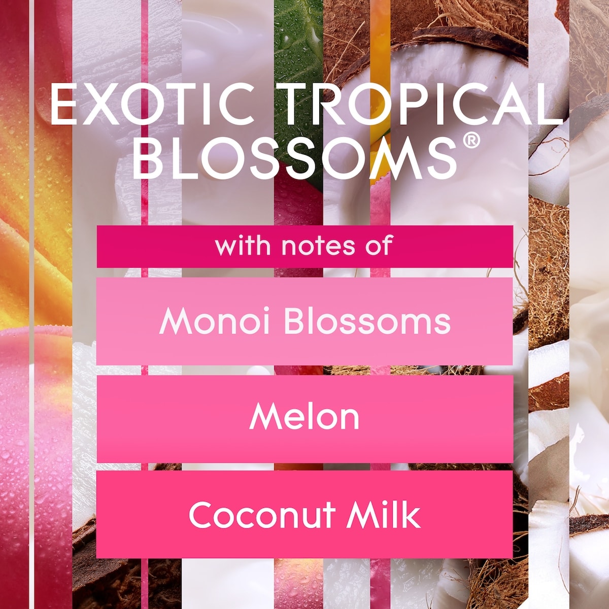 Glade Branchées® Huile Parfumée Nécessaire De Départ - Fleurs Tropicales Exotiques®