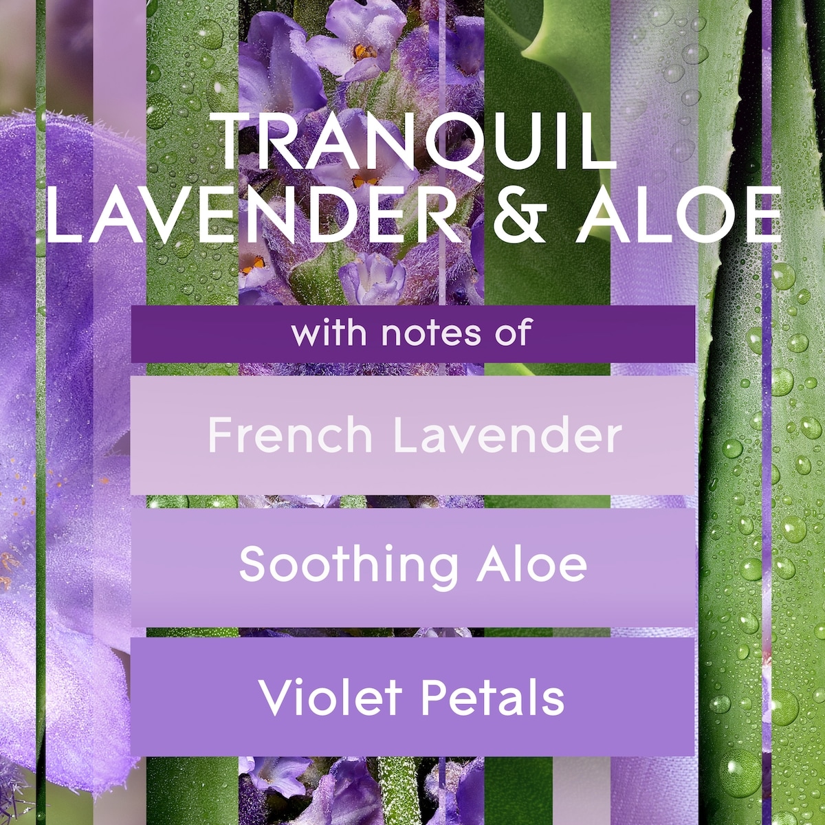 Plugins® Scented Oil Refill - Tranquil Lavender & Aloe