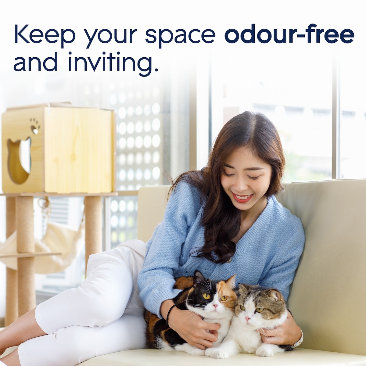 Animaux De Compagnie Branchées® Huile Parfumée Nécessaire De Départ - Compagnon PropreMC