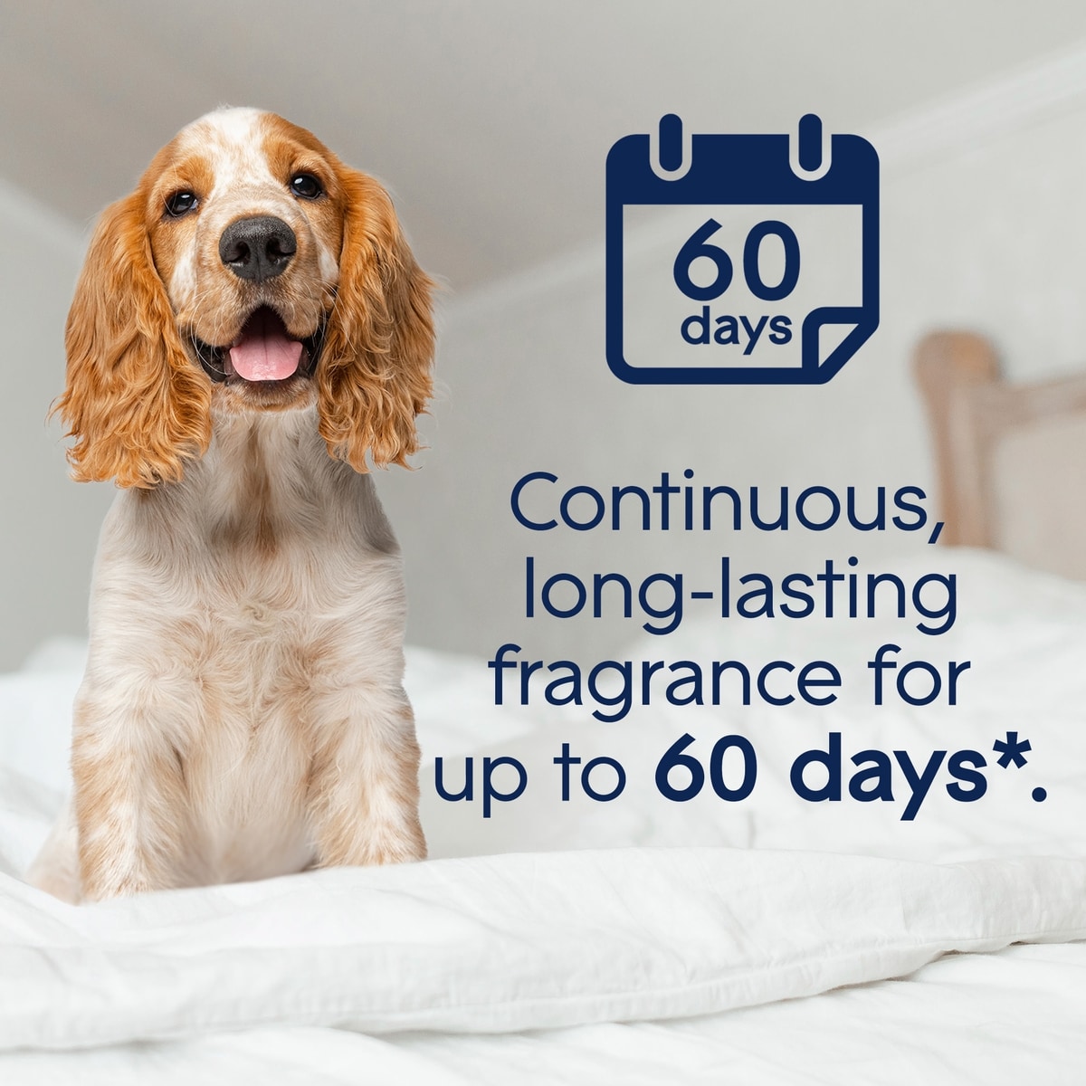 Glade Animaux De Compagnie Branchées® Huile Parfumée Nécessaire De Départ - Compagnon PropreMC