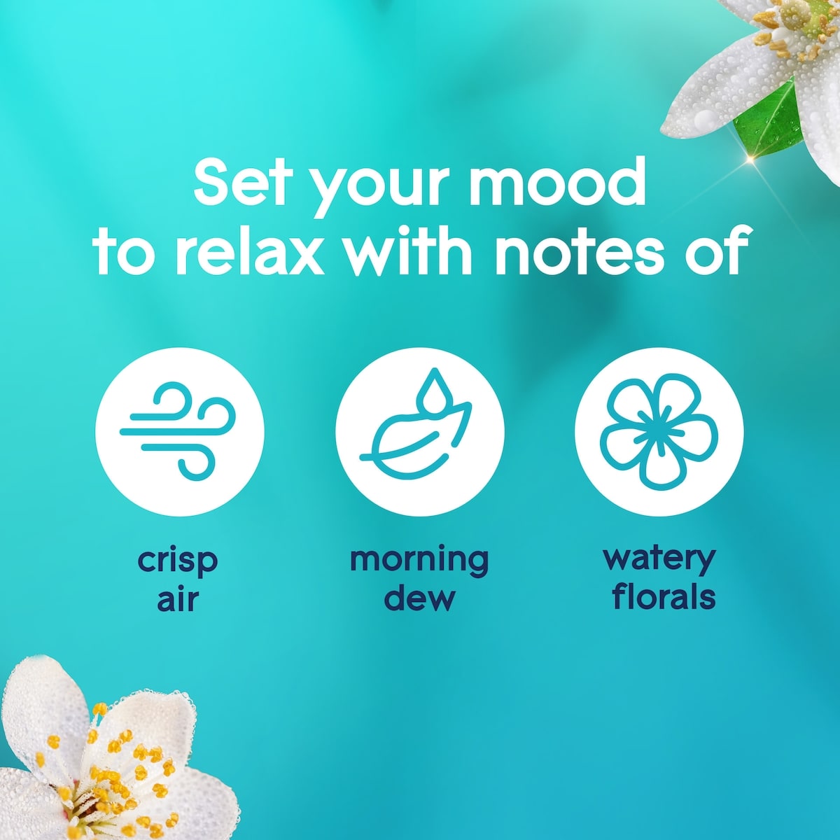 Plugins® Scented Oil Refill - Dewdrop Petals