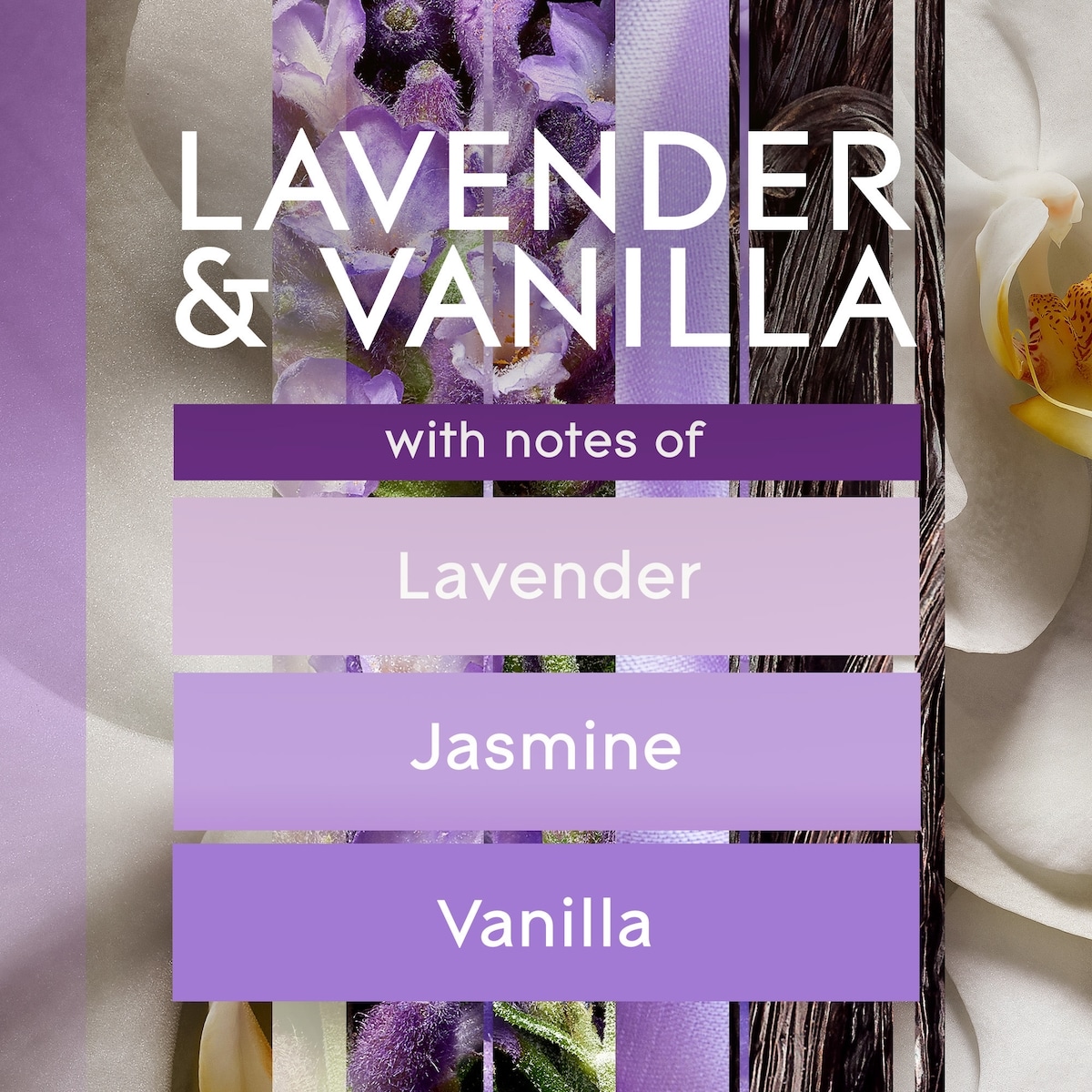 Plugins® Scented Oil Refill - Lavender & Vanilla