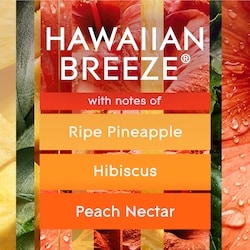 Plugins® Scented Oil Starter Kit - Hawaiian Breeze® 2