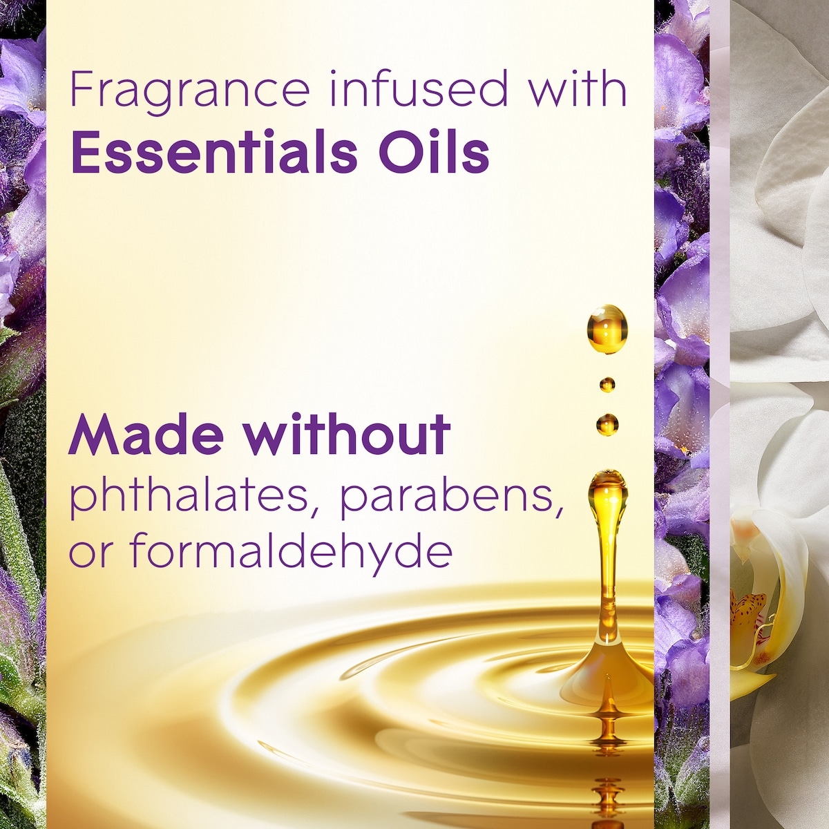 Plugins® Scented Oil Starter Kit - Lavender & Vanilla