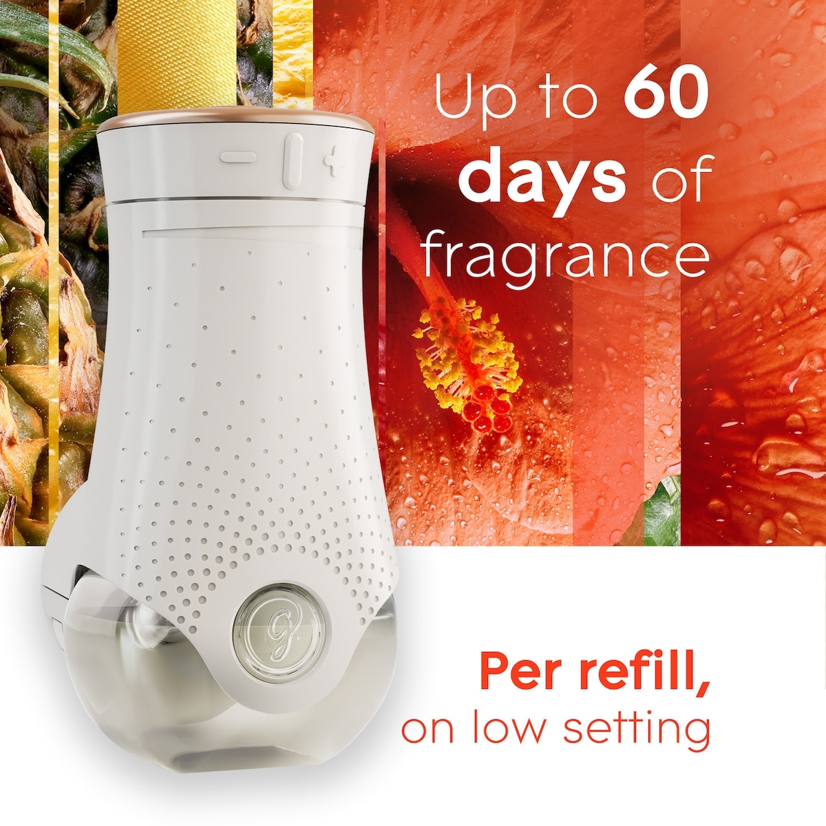 Glade Branchées® Huile Parfumée Recharge - Brise Exotique®