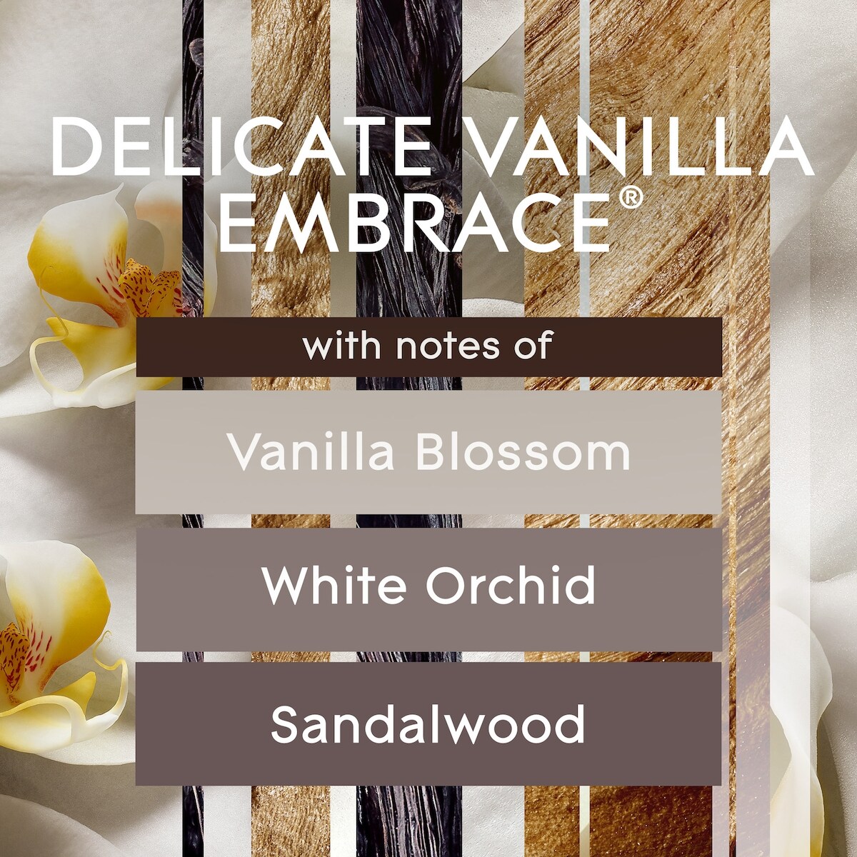 Glade Branchées® Huile parfumée Recharge - Fine caresse de vanille®