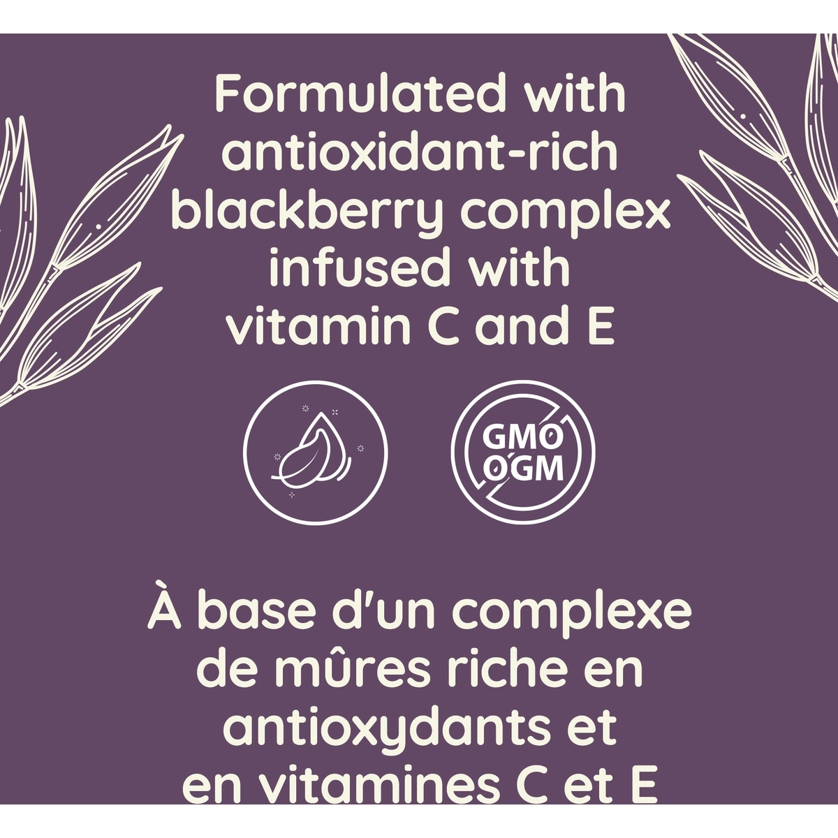 Absolutely Ageless Restorative Anti Aging Night Cream