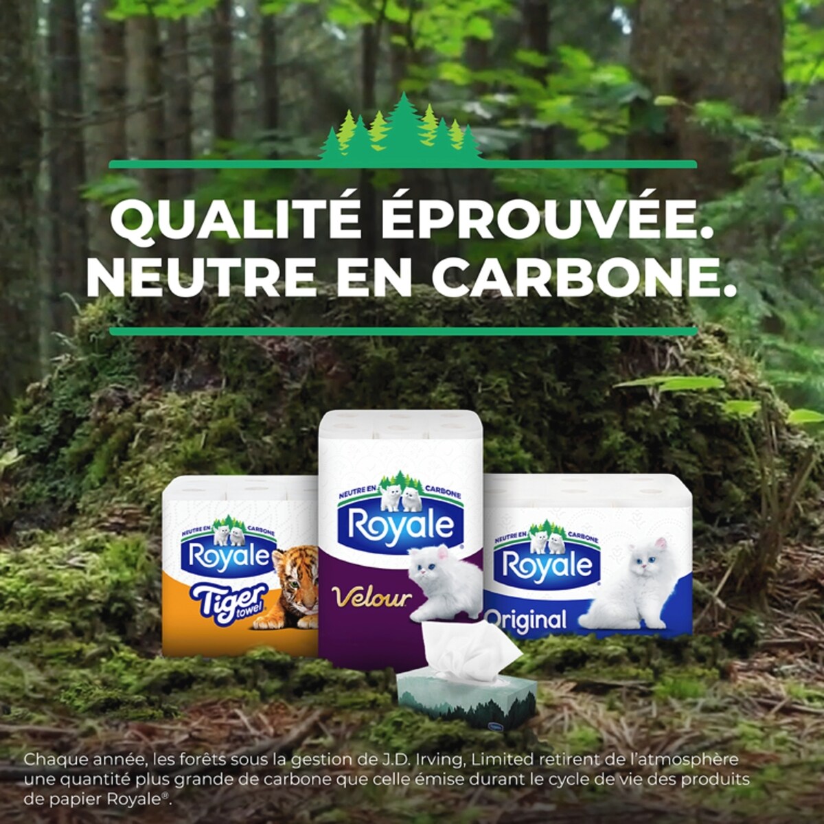 Mouchoirs 2 épaisseurs