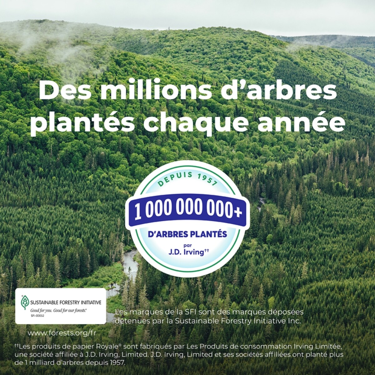 Mouchoirs 2 épaisseurs