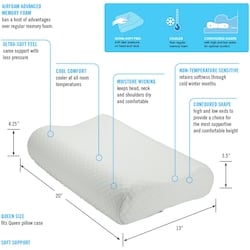 AirFoam Contour Pillow 2
