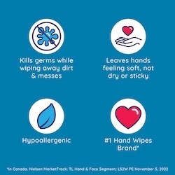 Antibacterial Hand Wipes, Citrus Scent Wet Wipes 3