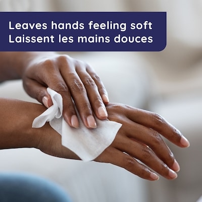Antibacterial Hand Wipes, Citrus Scent Wet Wipes 6