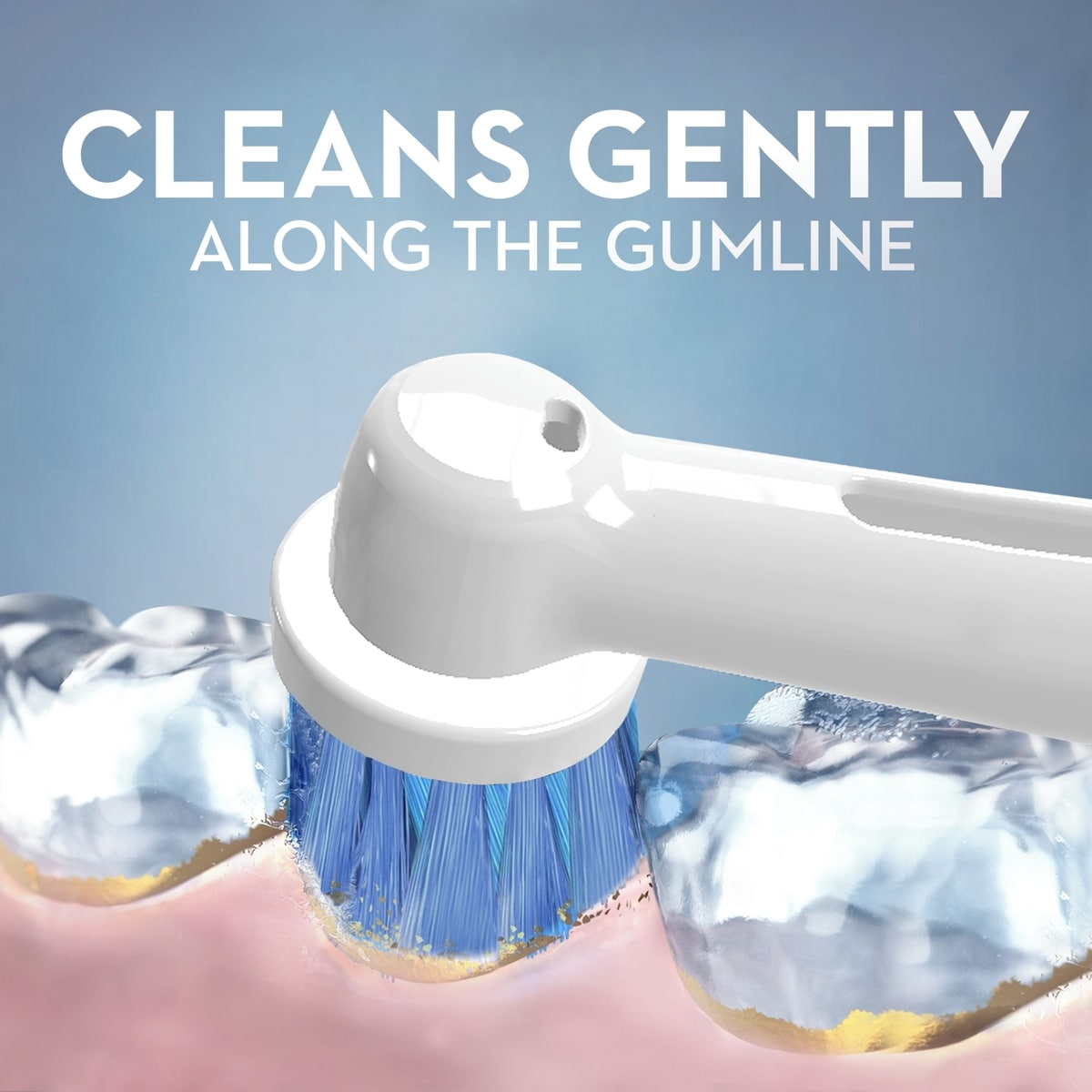 Brossettes de rechange paquet économique