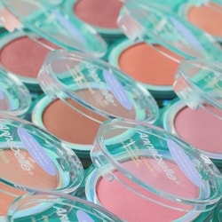 Perfect Blush Talc-Free Powder Blush 2