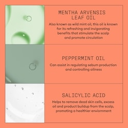 Scalp + Hair Shampoo - System 4 3