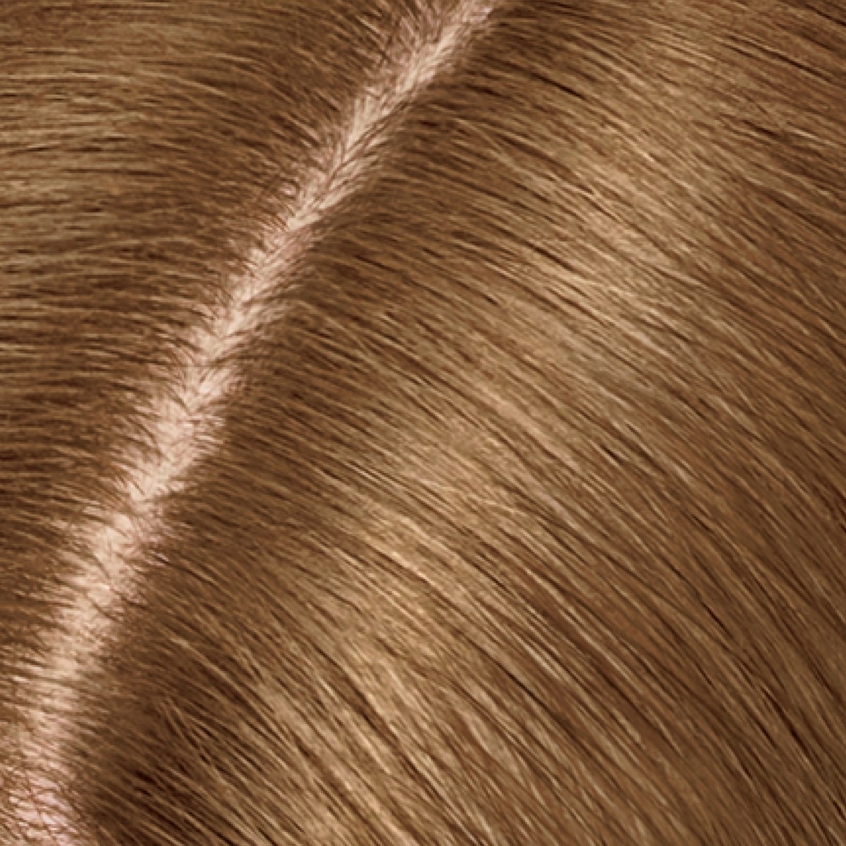 Root Touch-Up Temporary Powder